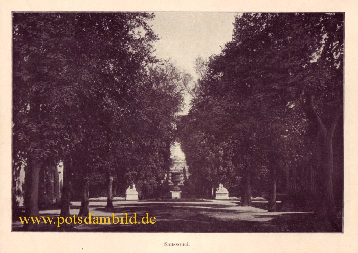 Die Brandenburger Vorstadt Potsdams - Sanssouci 